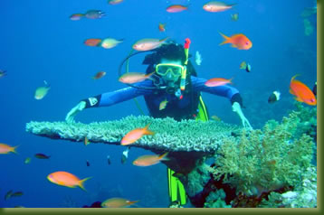 mombasa-diving
